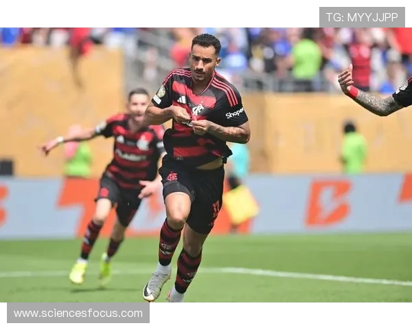 达尼洛：拜仁与切尔西差距不大 弗拉门戈将继续坚持自身风格