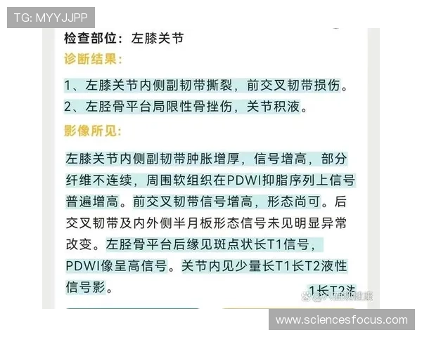 膝盖里的关键承重梁ACL撕裂为何让人痛苦难耐