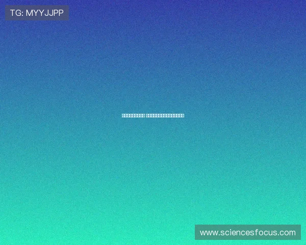 库巴西谈成长与反思 逐步承担领袖责任并从红牌中学习