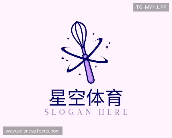 发现星空体育综合入口
